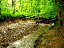 camminata_benessere_1