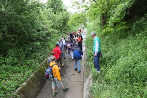 uno dei canali del parco delle cave, utilizzabili secondo la variante
