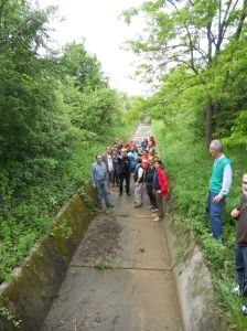 manifestazione 5 maggio
