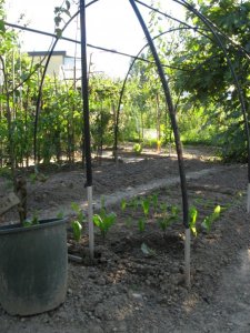 227802_1025251145697_5481_n