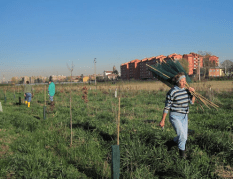 Schermata 2014-07-26 alle 10.29.11