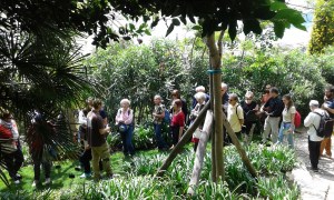 13_Il gruppo del viaggio