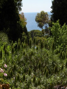 5_giardini Hanbury - Ventimiglia